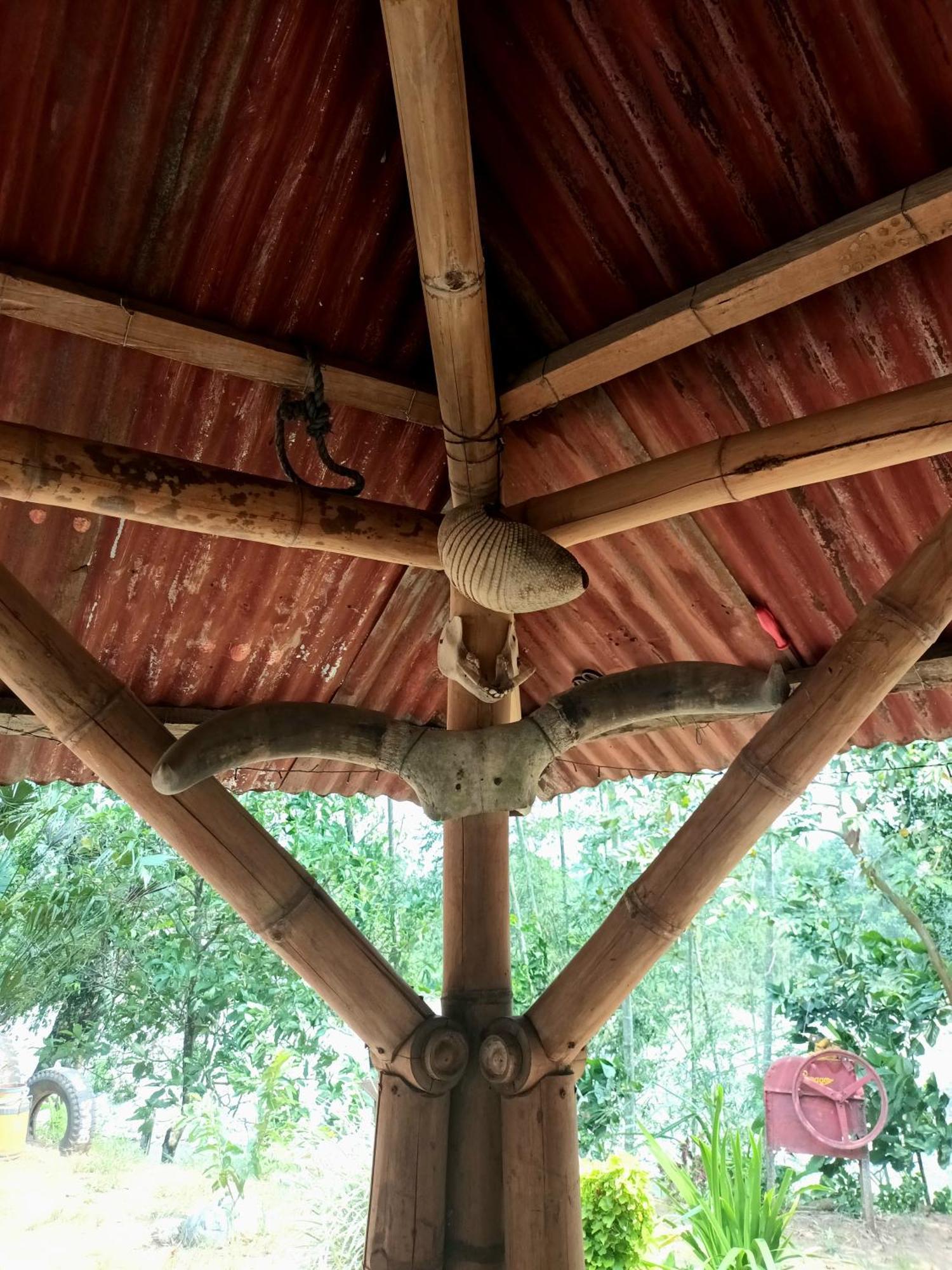 Hostal La Cabana Mesetas Extérieur photo